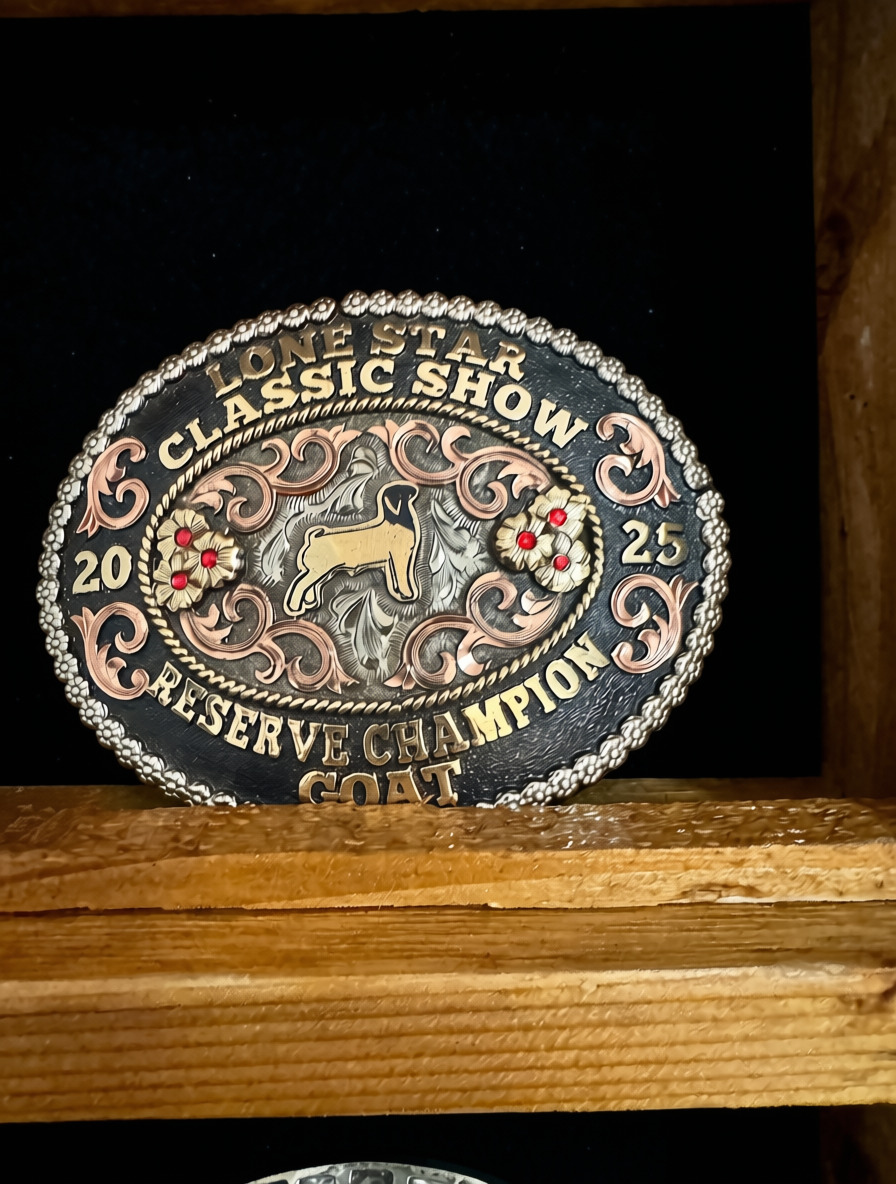 Reserve Champion Goat — Lone Star Classic Show 2025