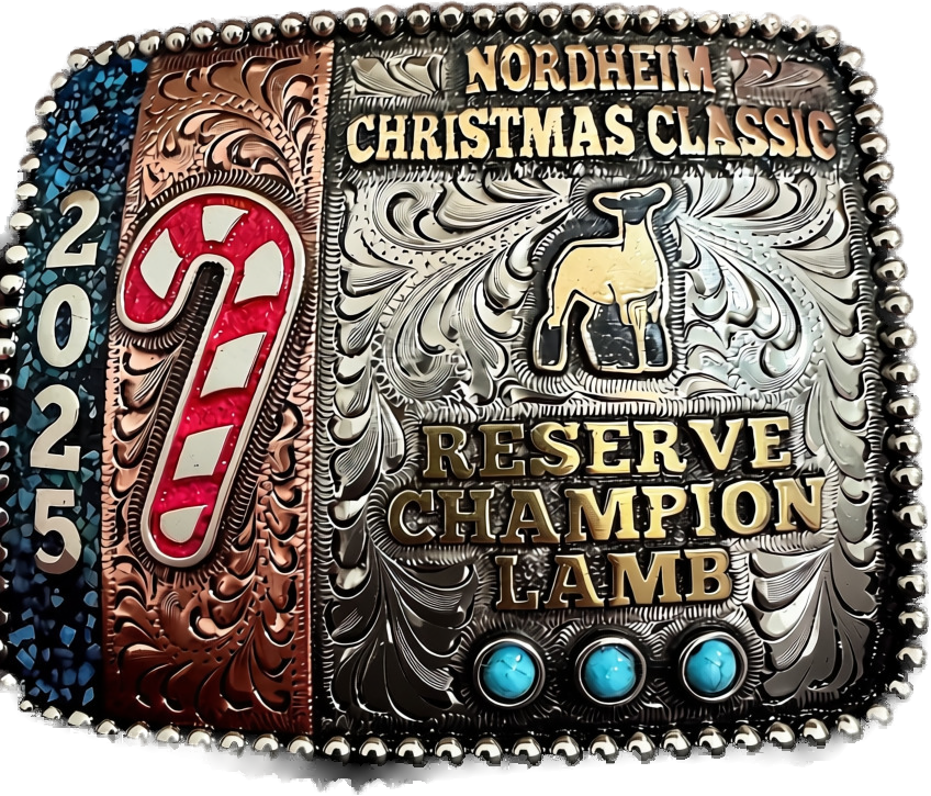 Reserve Champion Lamb — Nordheim Christmas Classic 2025